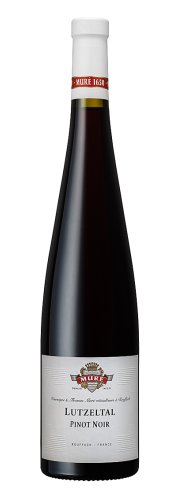 Pinot Noir Lutzeltal 2020