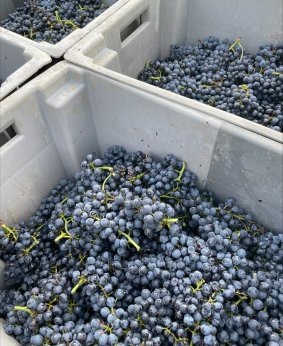 thumbnail_processed-E54C9557-EFAB-476F-B3DB-6E2C26305ED9
							  