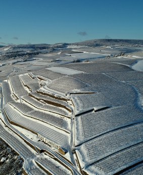 DJI_0012
							  