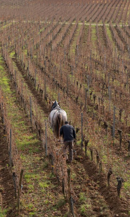 Respect et tradition