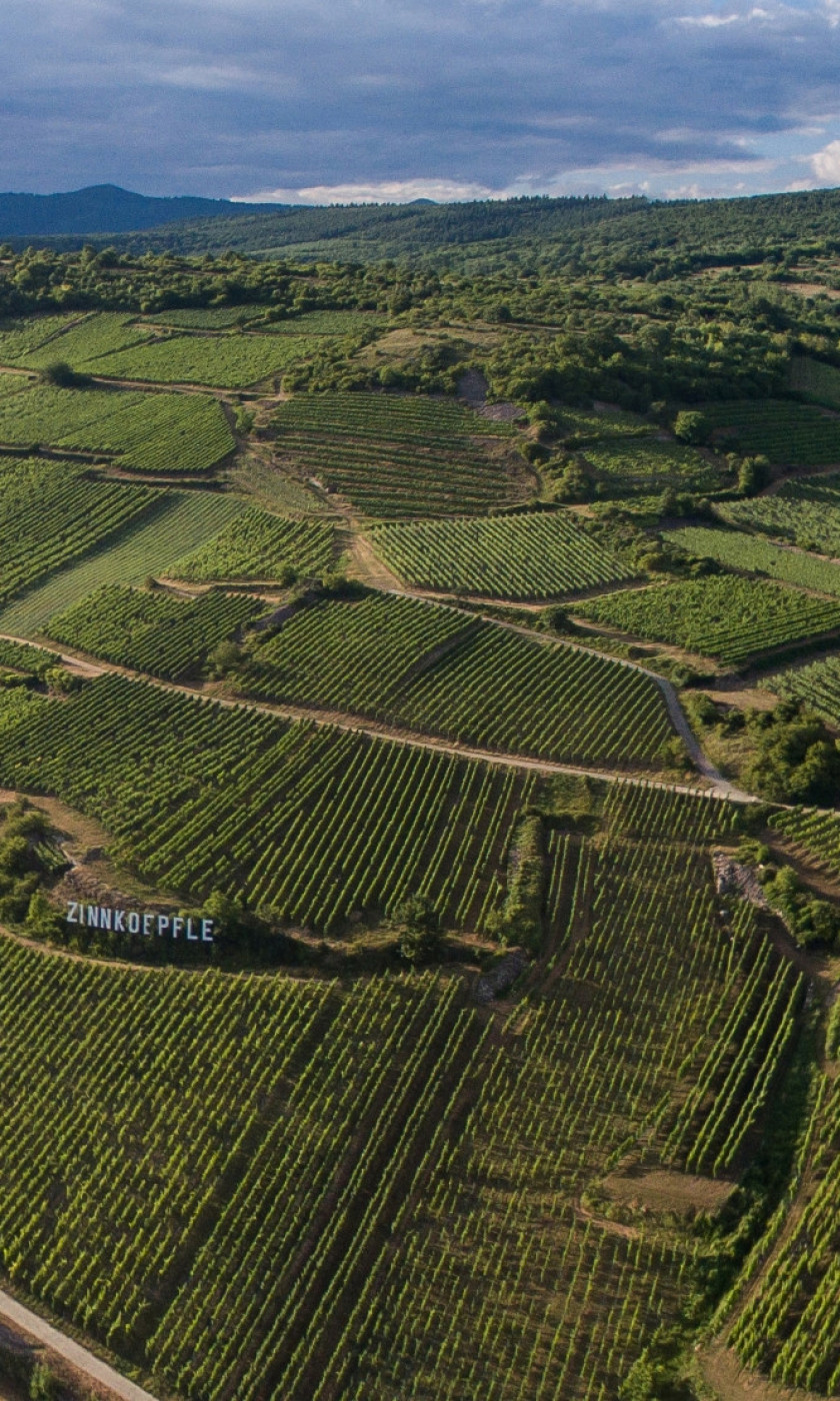 panoramique
		  