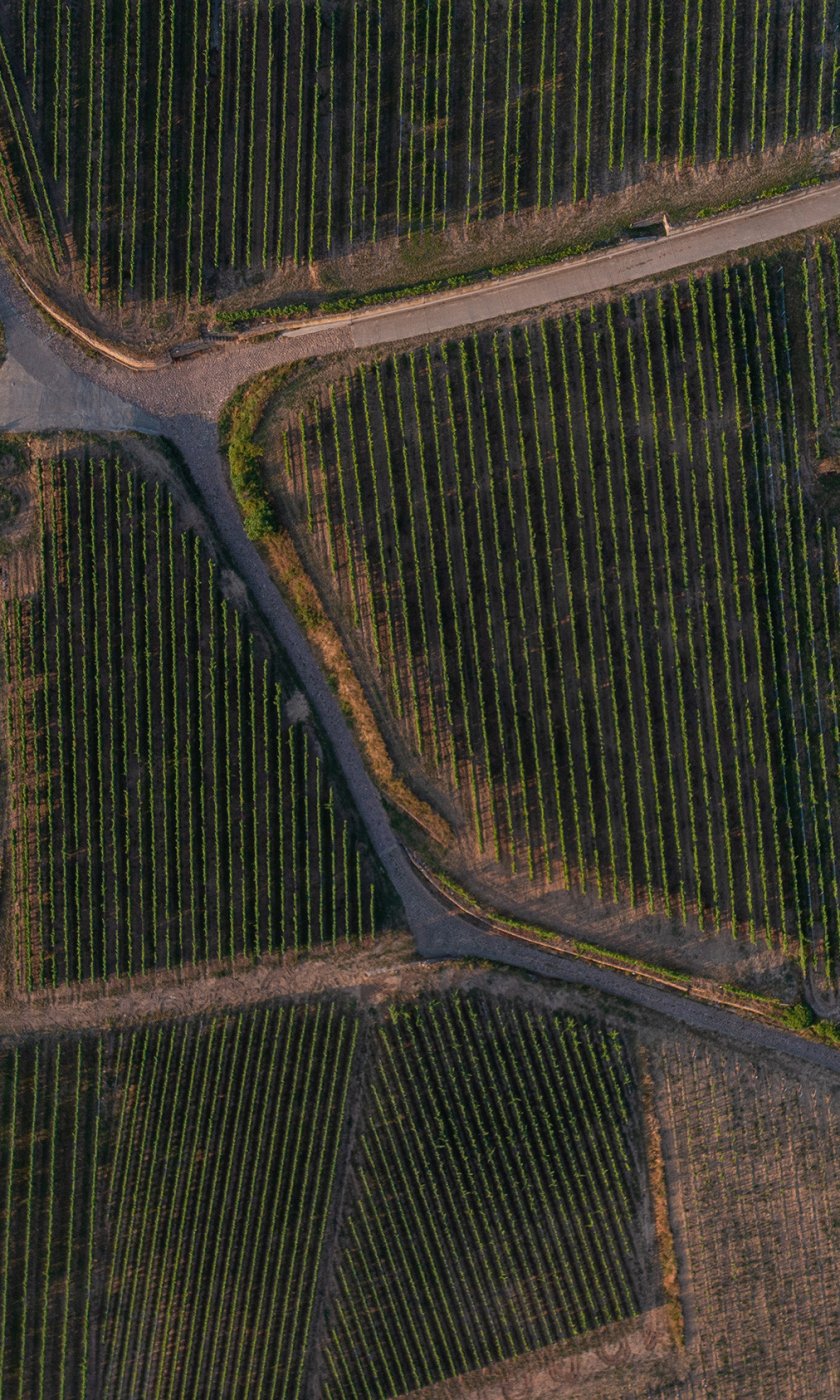 DJI_0291
		  