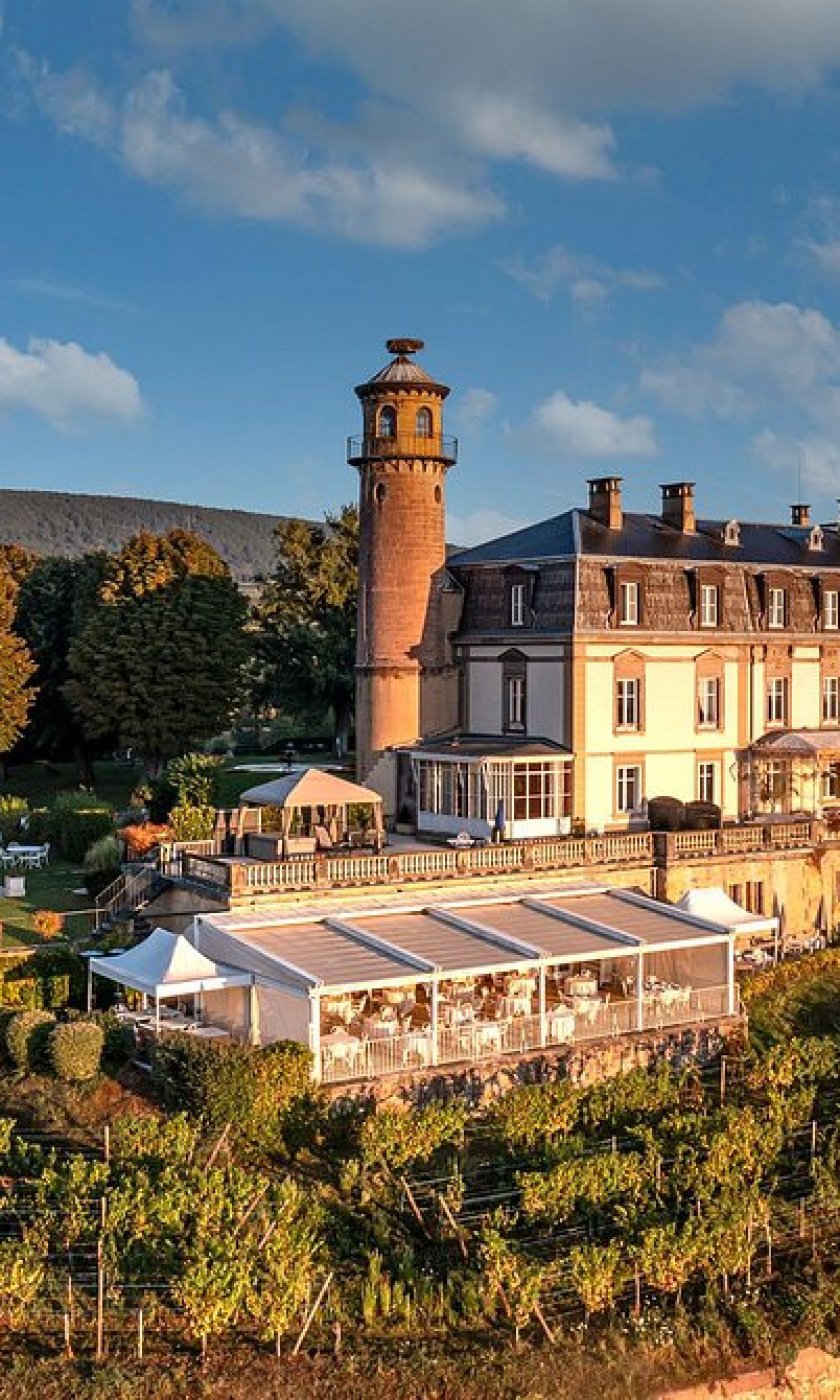 chateau-d-isenbourg
		  