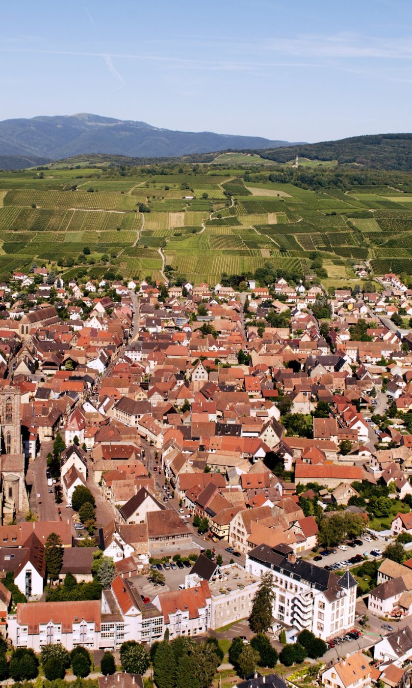 VORBOURG-�ZVARDON-CIVA
		  